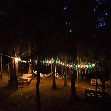 Hotel Evergreen Borjomi Bagian luar foto