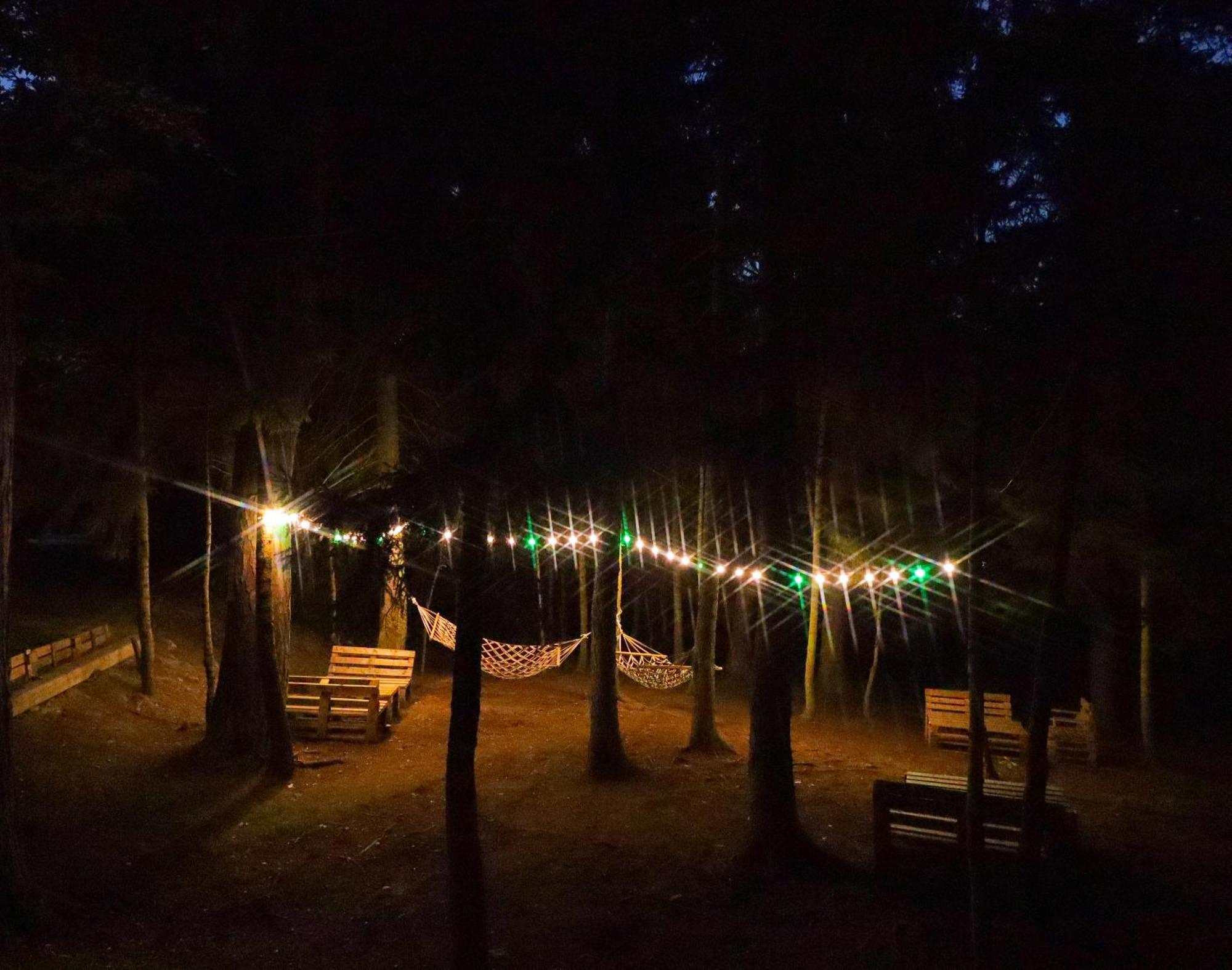 Hotel Evergreen Borjomi Bagian luar foto